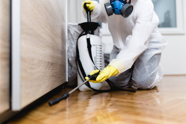 Best Best Pest Control Companies  in Labasas, CA