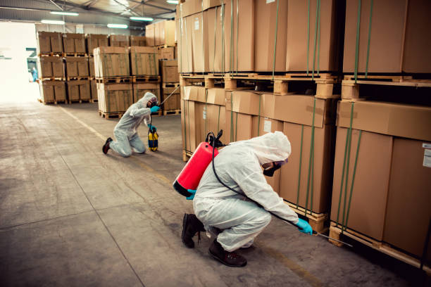 Pest Control Cost in Calabasas, CA