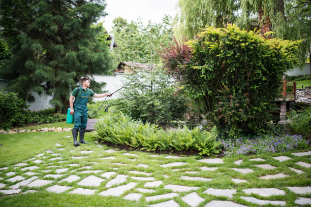 Best Pest Prevention Services  in Labasas, CA