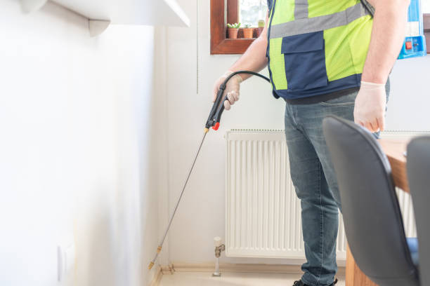 Reliable Calabasas, CA Pest Control Solutions