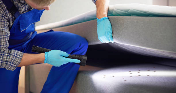 Best Pest Inspection Near Me  in Labasas, CA