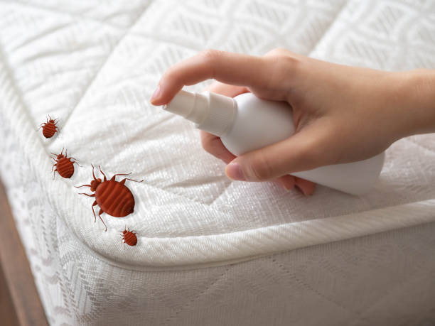 Best Residential Pest Control  in Labasas, CA