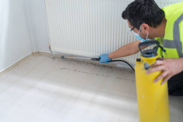 Best Pest Control Cost  in Labasas, CA