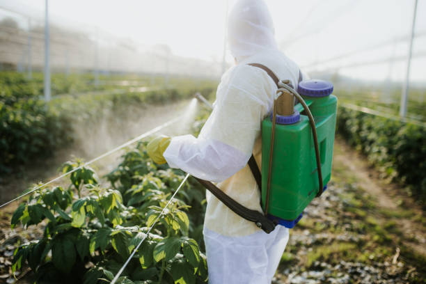 Professional Pest Control in Calabasas, CA